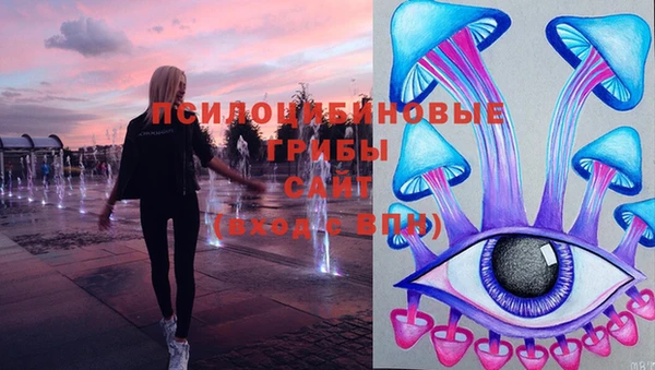 синтетический гашиш Зеленодольск