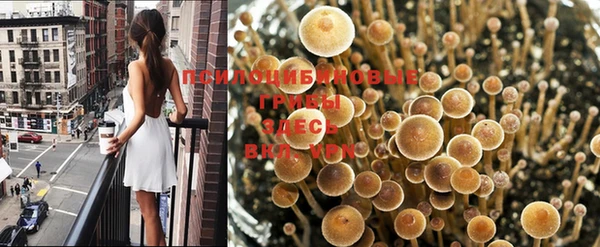 синтетический гашиш Зеленодольск