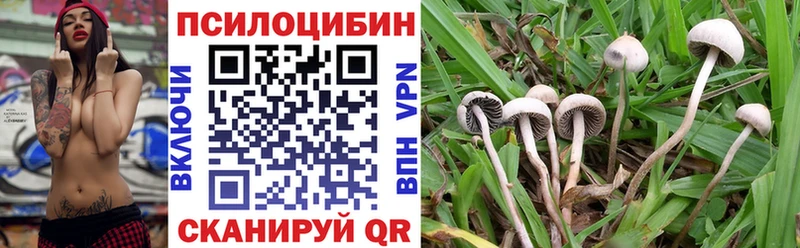 Псилоцибиновые грибы Magic Shrooms  Купить закладки  Емва 
